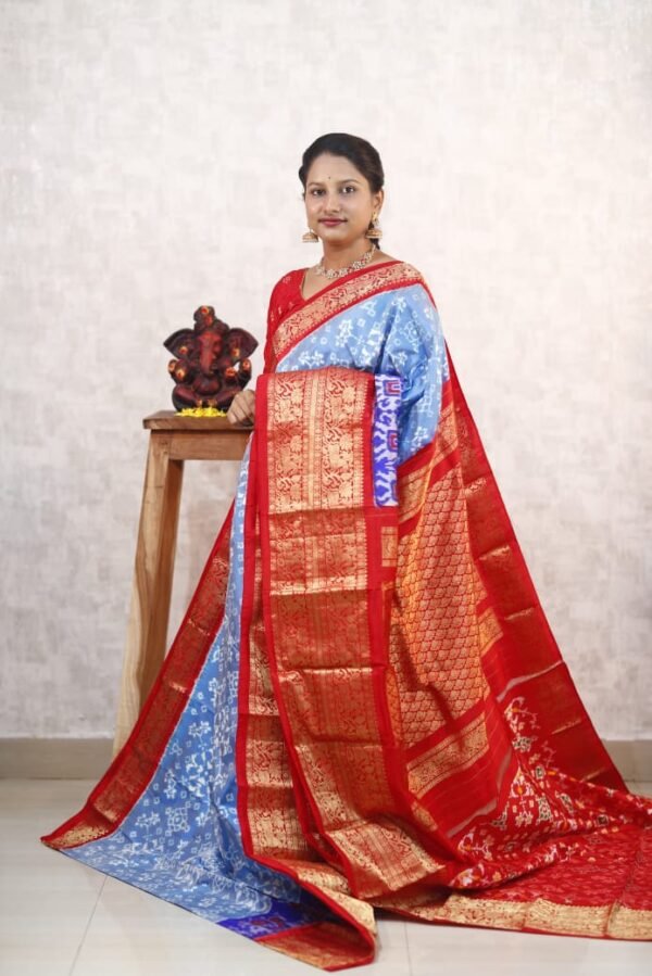 Pochampally Twill ikkat silk saree with blue & red kanchi border, Navratan Patola design ikat 2