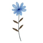 blue flower, flower, watercolor-7746724.jpg