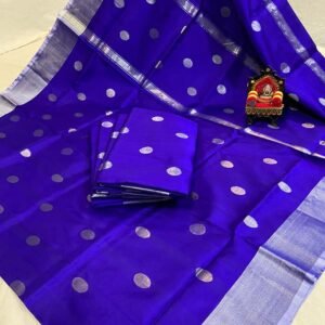 uppada silk saree coin design