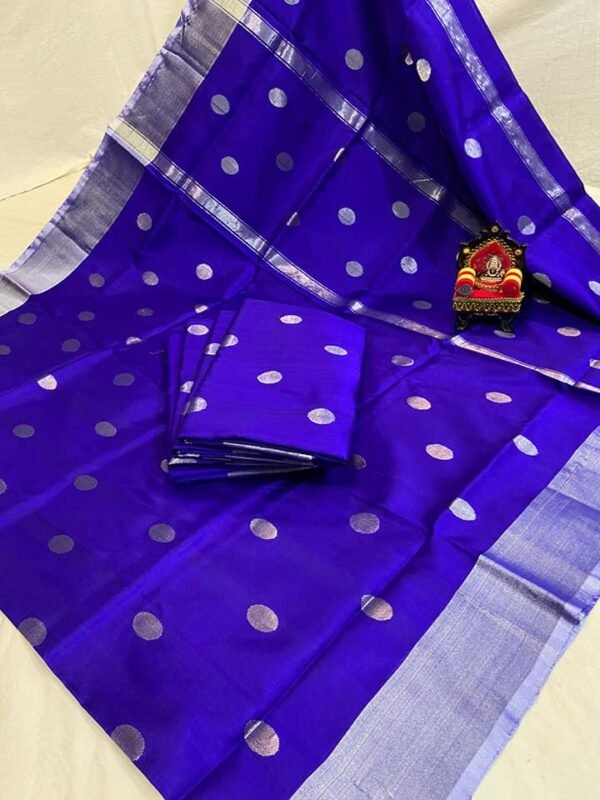 uppada silk saree coin design