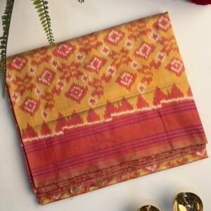 Natural Dye Pochampally Silk Saree