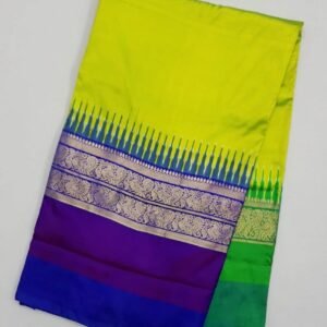 Leamon green pochampally ikkat silk saree with kanchipuram border
